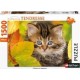 Nathan Puzzle 1500p - Chaton en automne
