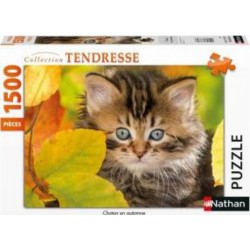 Nathan Puzzle 1500p - Chaton en automne