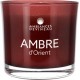 AMBIANCE DEVINEAU Bougie Ambre d'Orient la bougie