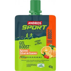 ANDROS 40G GEL BOOST AGRUMES/GUA
