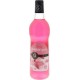 Sirop Gilbert Bubble Gum 70cl