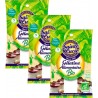 Sainte Lucie Lot 3x Gélatine Alimentaire Bio Sachet 11g les 3 unités de 0.01Kg