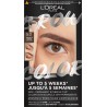 L'OREAL PARIS Mascara à Sourcils Teinte Châtain (5.0) Brow Color coloration sourcils