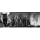 RAVENSBURGER Puzzle 1000 pièces Triptyque Panthère, éléphant, lion