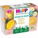 HIPP BIOLOGIQUE SAVEURS DU MONDE ALIMENTS INFANTILES DESSERT DE FRUIT POT PLASTIQUE DES 6 MOIS BANANE & MANGUE & POIRE SANS ADDI